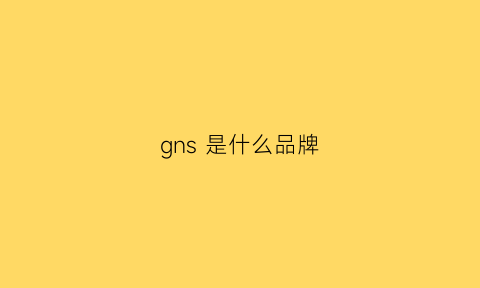 gns是什么品牌(GNS是什么品牌)